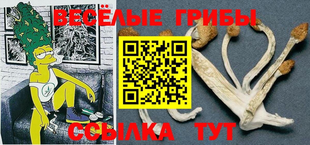Галлюциногенные грибы MAGIC MUSHROOMS Шелехов