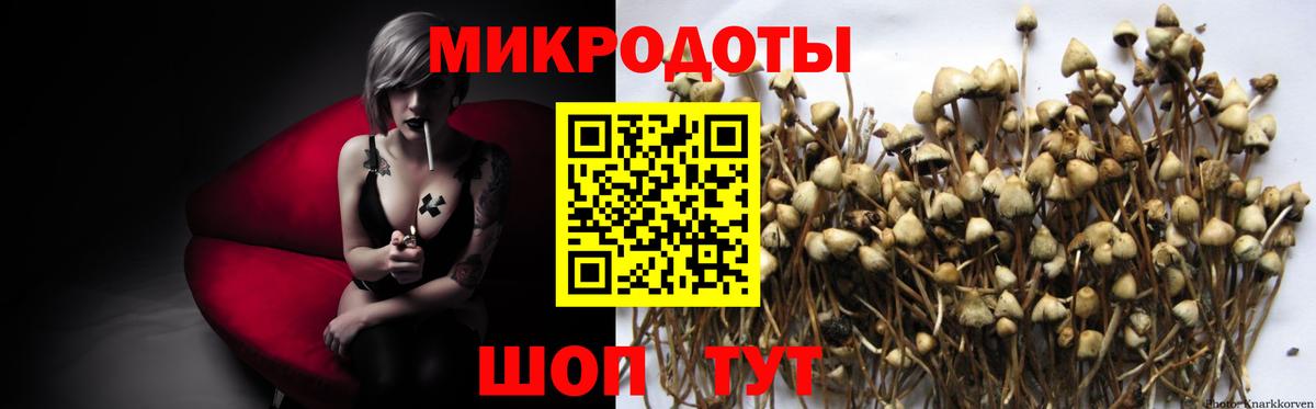 Галлюциногенные грибы мицелий  Галлюциногенные грибы ЛСД  купить наркотик  Вход с VPN  Шелехов 